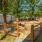 Pet Park